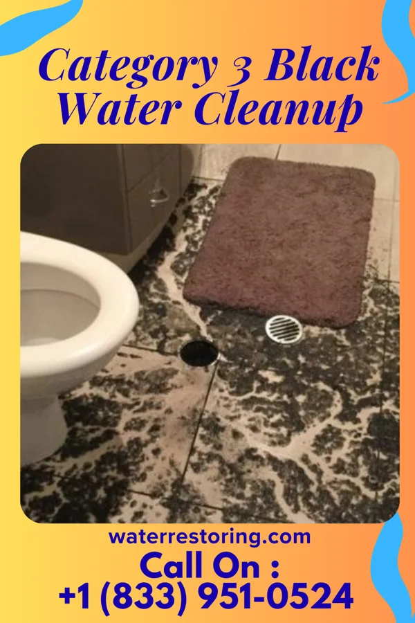 Category 3 Black Water Cleanup in Pine Island Center, FL