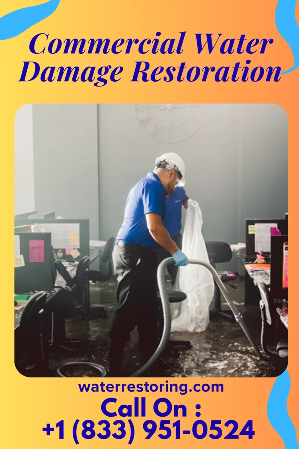 Commercial Water Damage Restoration in Pine Island Center, FL