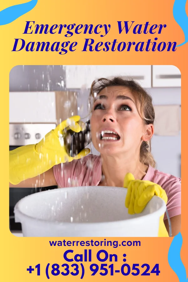 Emergency Water Damage Restoration in Pine Island Center, FL